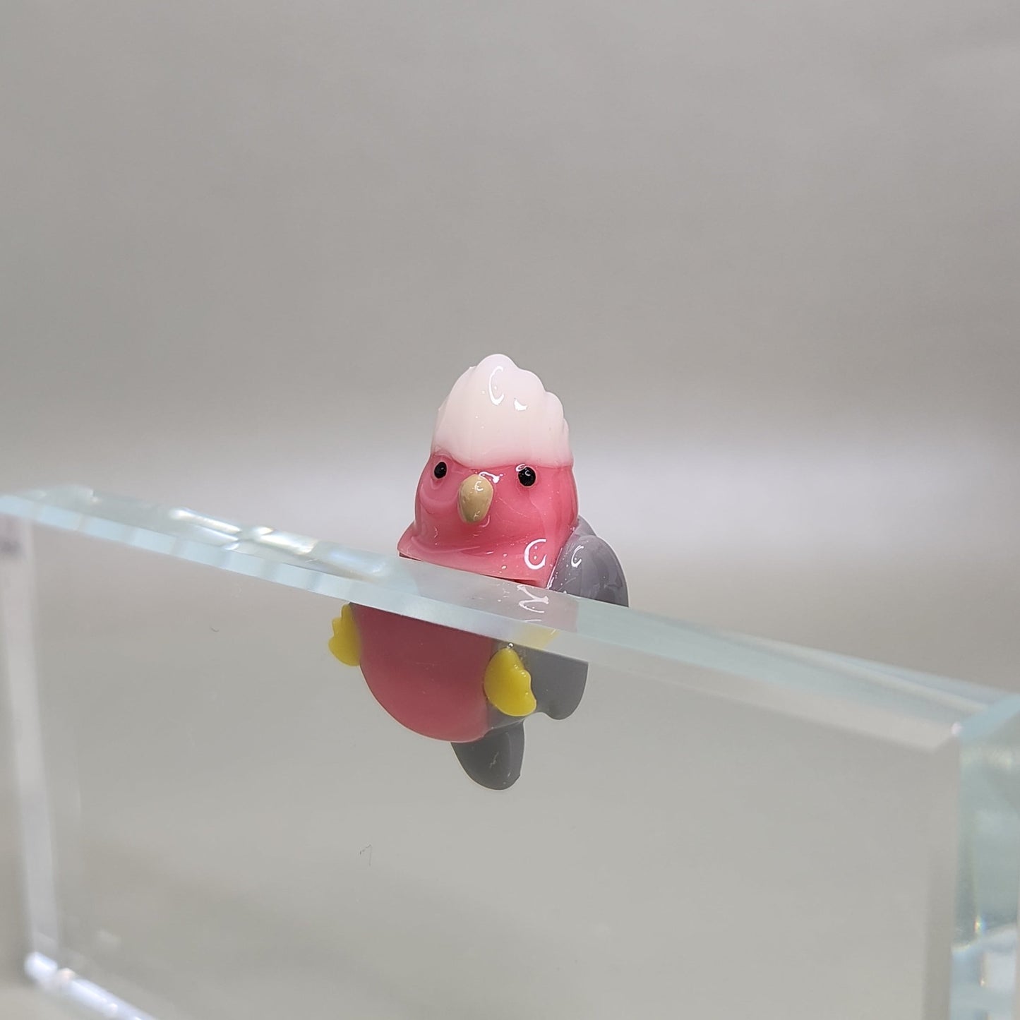 Cute Bird Peeker / Hipper charm