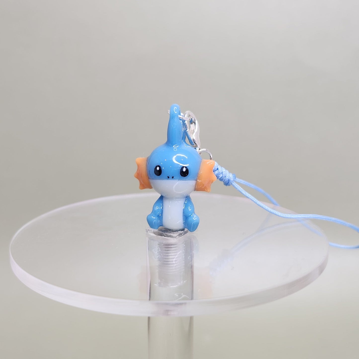 Mudkip inspired Charm