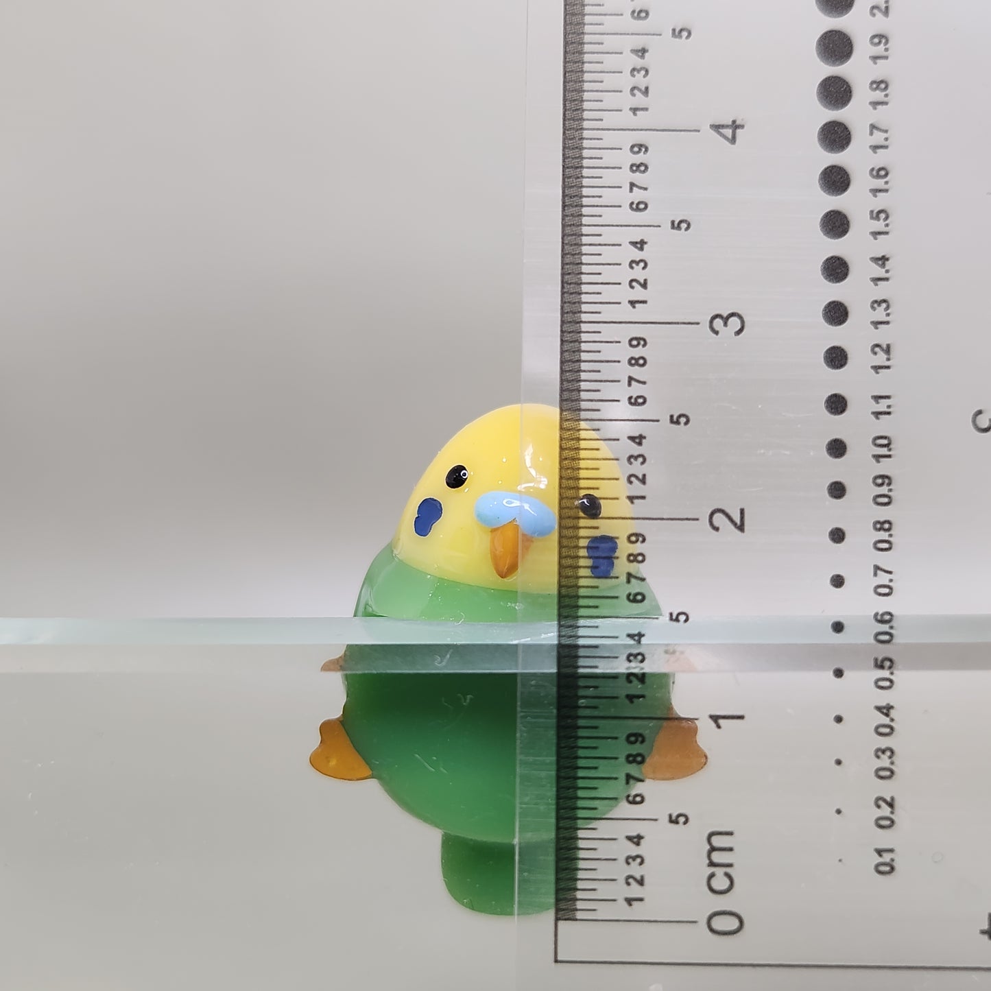 Budgie Peeker / Hipper charm