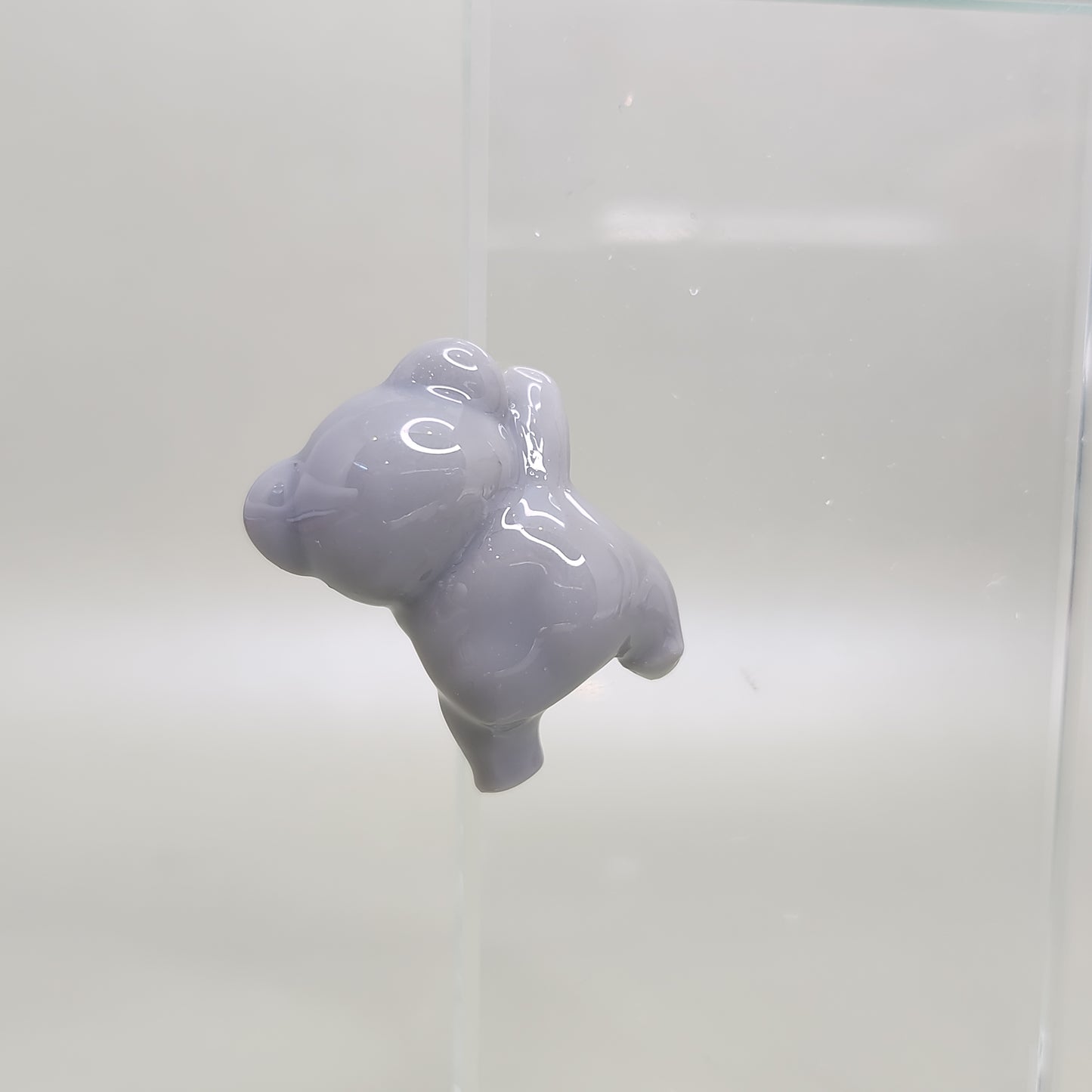 Sneaky Koala Peeker / Hipper charm
