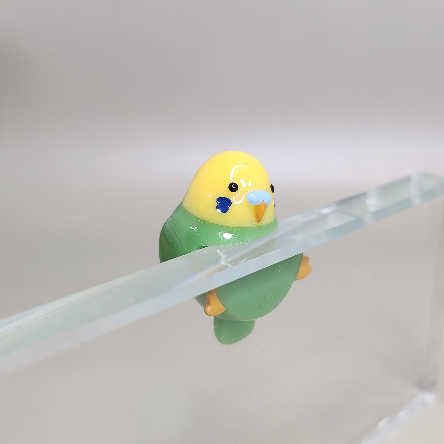 Budgie Peeker / Hipper charm