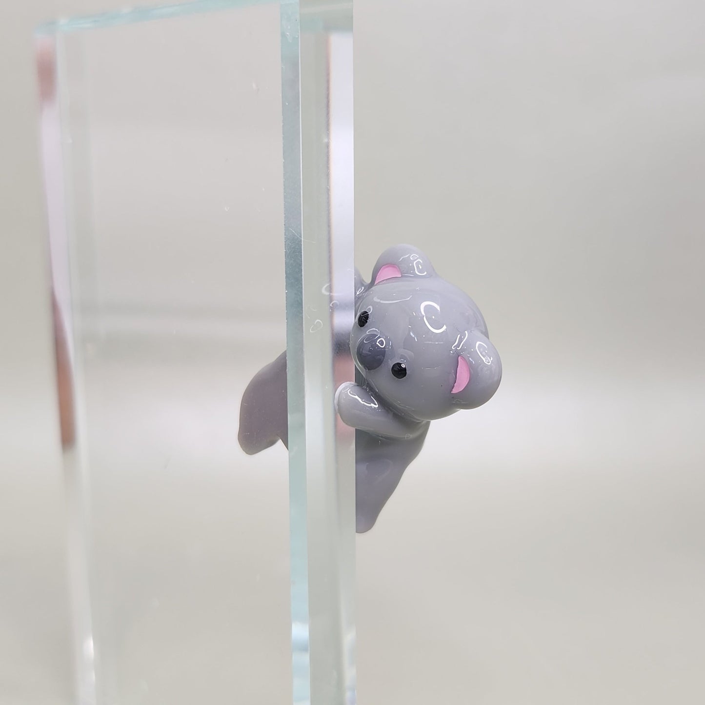 Sneaky Koala Peeker / Hipper charm