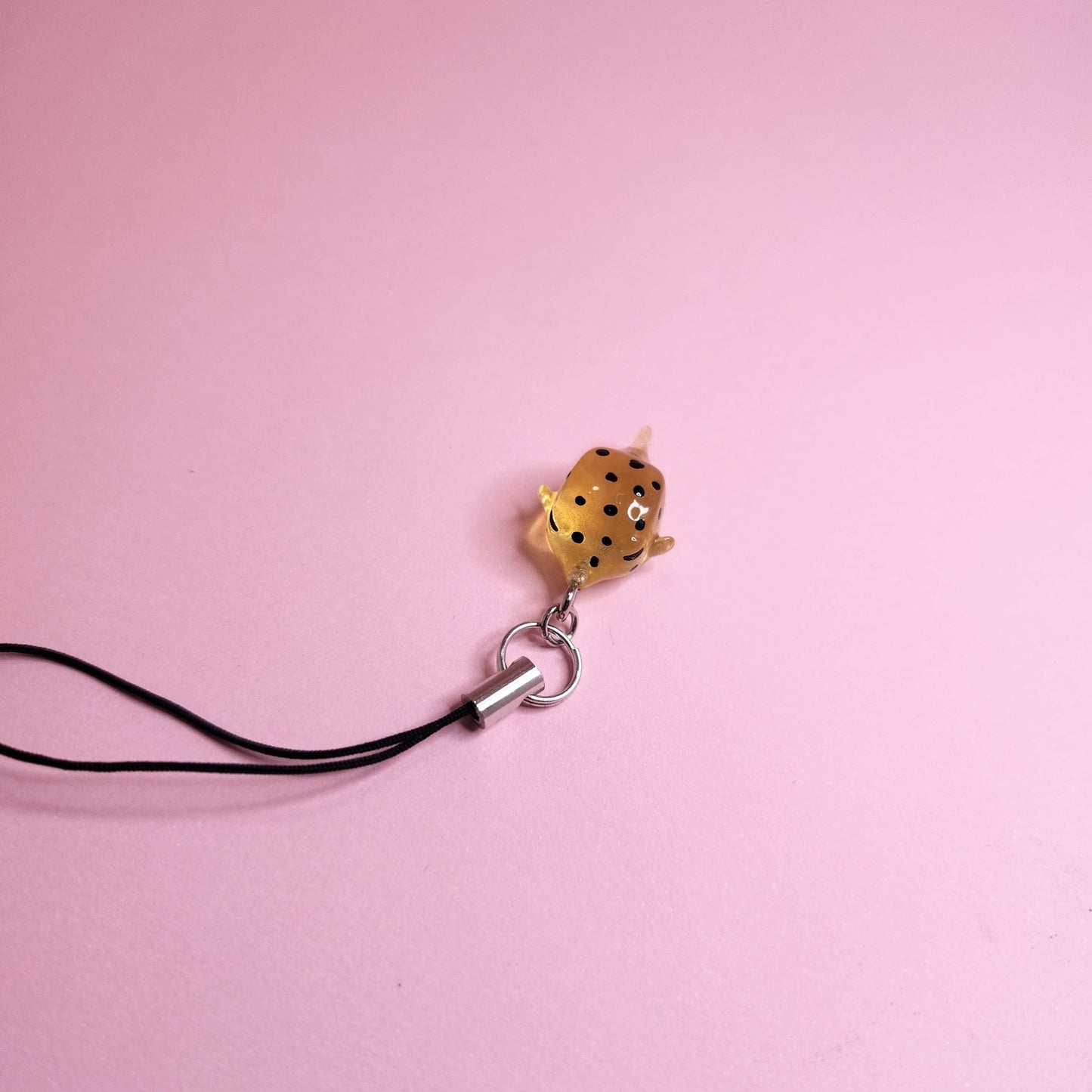 Boxfish charm