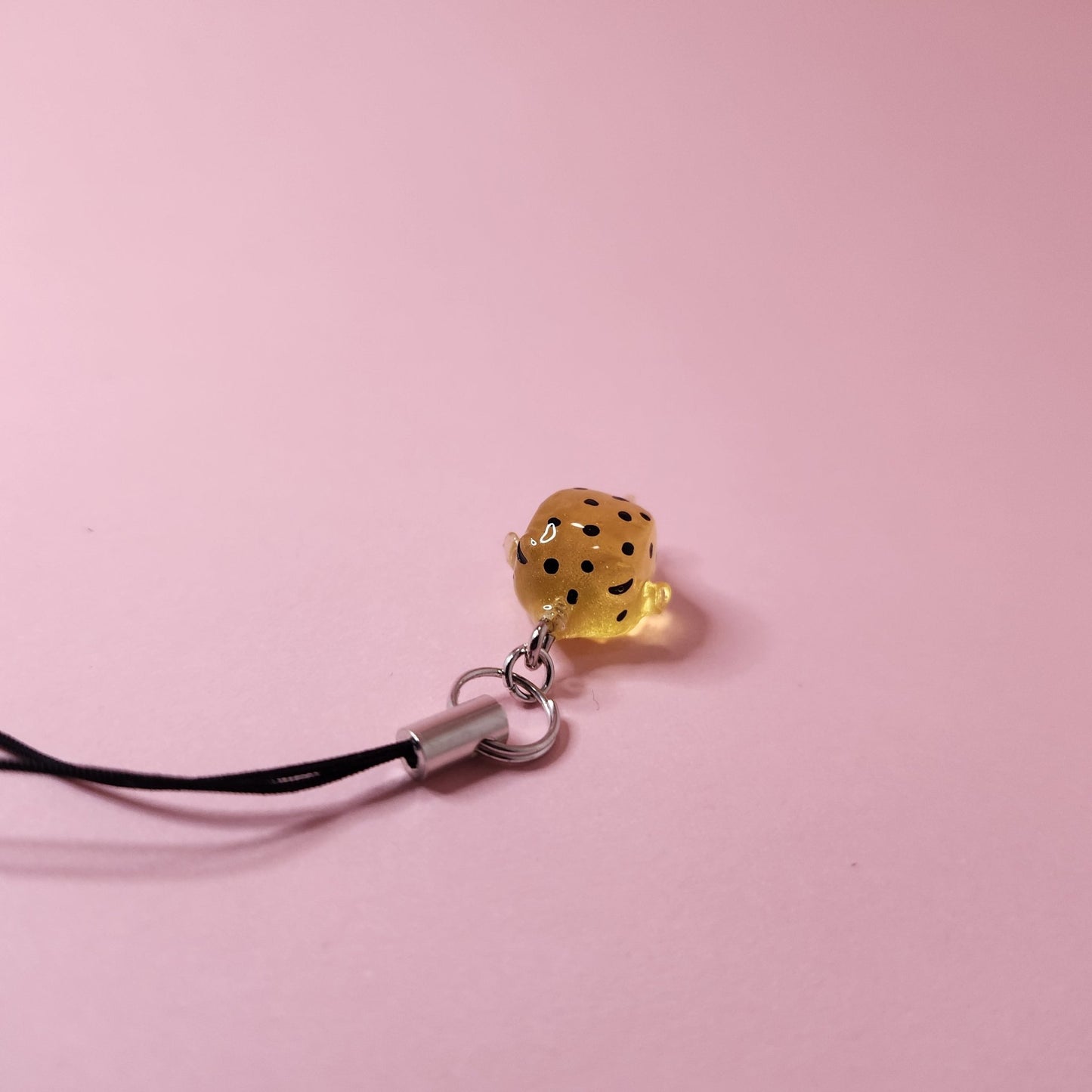 Boxfish charm