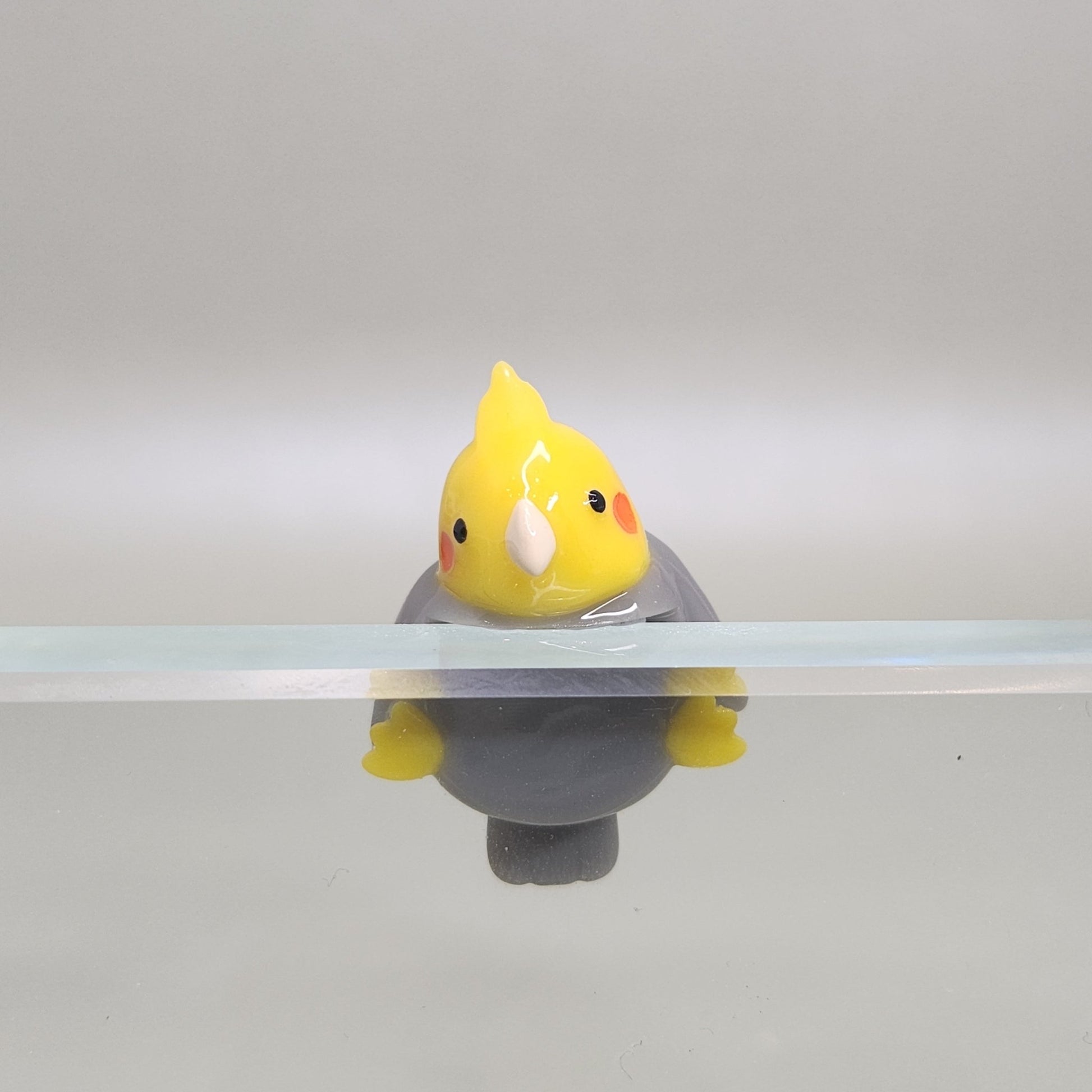 Cute Bird Peeker / Hipper charm