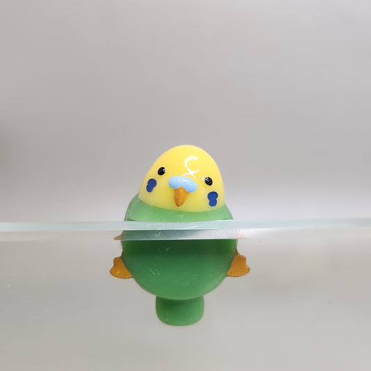 Budgie Peeker / Hipper charm