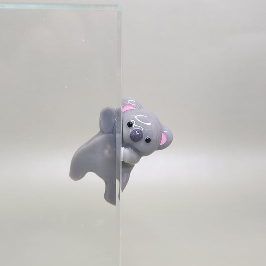 Sneaky Koala Peeker / Hipper charm