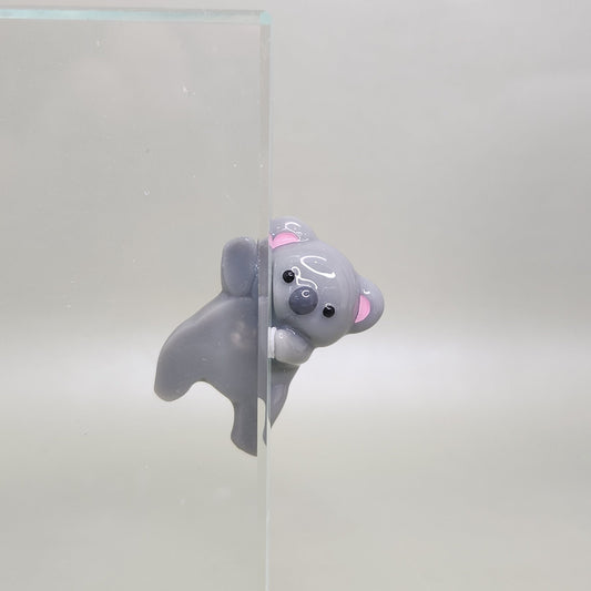 Sneaky Koala Peeker / Hipper charm